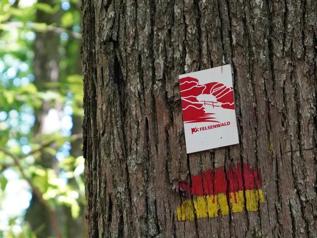 Wer gern in der Natur unterwegs ist, kann in Pirmasens Verantwortung für einen Premiumwanderweg übernehmen. | Foto: Stadt Pirmasens