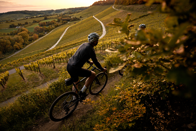 Graveln mit Aussicht: Übder den herbstlich gefärbten Weinberge zeigt sich das Land der 1000 Hügel von seiner goldenen Seite.  | Foto:  Tourimia Tourismus GmbH | Stefan Leitner Photography | KI-bearbeitet (Herbstfärbung)
