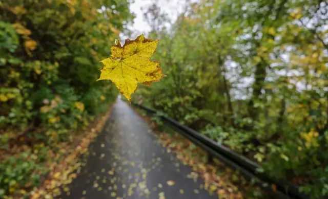 In den kommenden Tagen soll es immer wieder regnen. (Symbolbild) | Foto: Thomas Warnack/dpa