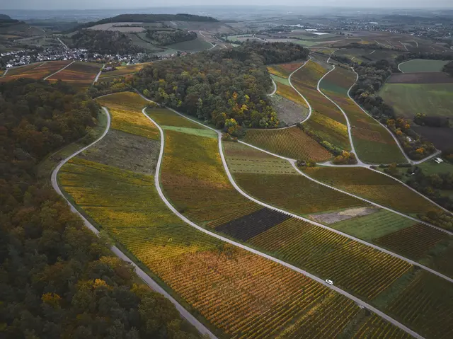 Herbstliches Farbenspiel aus der Vogelperspektive: Die Weinberge im Land der 1000 Hügel leuchten in warmen Gold-, Rot- und Orangetönen.  | Foto: Tourimia Tourismus GmbH | Stefan Leitner Photography