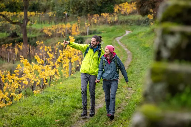 Wandern im Herbst an der Wachtenburg über Wachenheim | Foto: Pfalz Touristik, Dominik Ketz