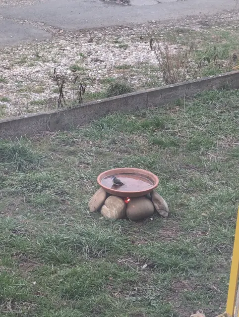 Eine selbstgebaute Vogeltränke mit einer Grabkerze darunter: Auch bei Frost brauchen Vögel Trinkwasser. Der Tonuntersetzer hält das Wasser durch die Kerze eisfrei – ein einfacher Trick, der Leben rettet. Tipps wie diesen gibt die ORBEA in ihrer neuen Ratgeber-Serie „Natur vor der Haustür: ORBEA gibt Tipps“ – für mehr Artenvielfalt direkt vor der eigenen Tür.  | Foto: ORBEA