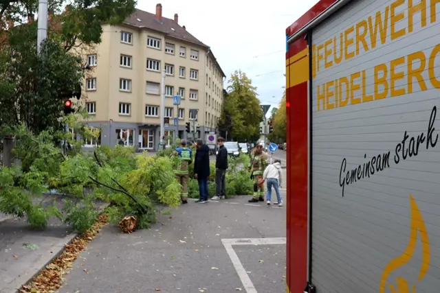 An einigen Orten stürzten Bäume um. | Foto: Rene Priebe/dpa