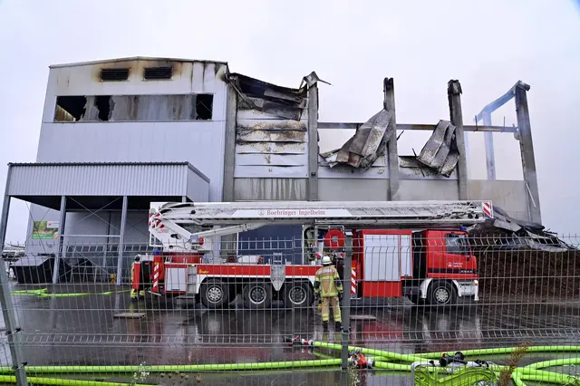 Feuerwehrleute löschen die Flammen in dem Gemüsebetrieb.  | Foto: Roland Sprich/dpa