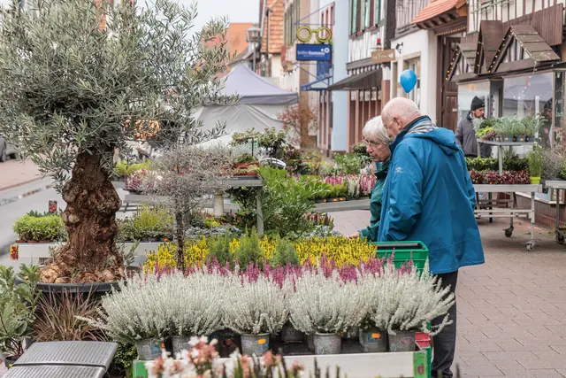 Der Oktobermarkt brachte am Sonntag Leben in die Kandeler Innenstadt. Zwischen Marktständen und Kerwe-Angeboten gab es trotz des durchwachsenen Wetters einiges zu entdecken. | Foto: Paul Needham