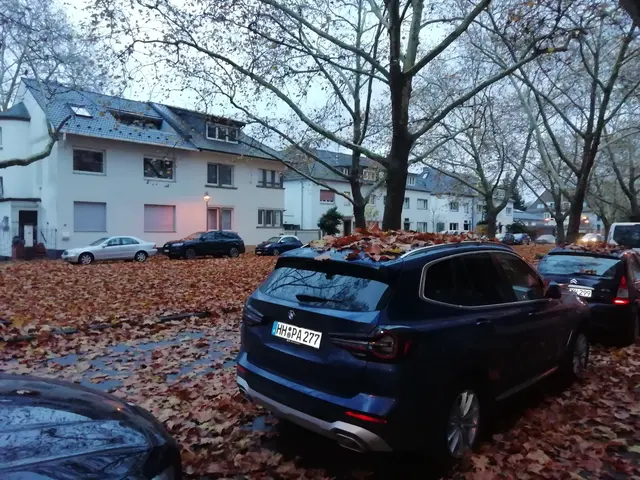 In Frankenthal stehen ab Montag, 2. November, zusätzliche kostenlose Container für Laub und Grünabfälle bereit. Vor allem unter großen Platanen fällt viel Laub.  | Foto: Julia Glöckner