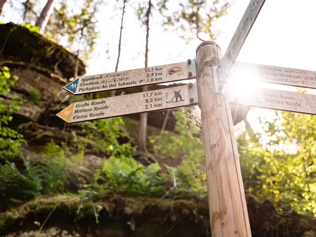 Wegweiser am Trifterlebnisweg und dem Pfälzer Hüttensteig  | Foto: Pfalz Touristik, Fachenbach Medien