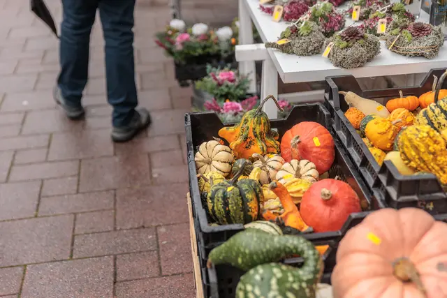 Der Oktobermarkt brachte am Sonntag Leben in die Kandeler Innenstadt. Zwischen Marktständen und Kerwe-Angeboten gab es trotz des durchwachsenen Wetters einiges zu entdecken. | Foto: Paul Needham