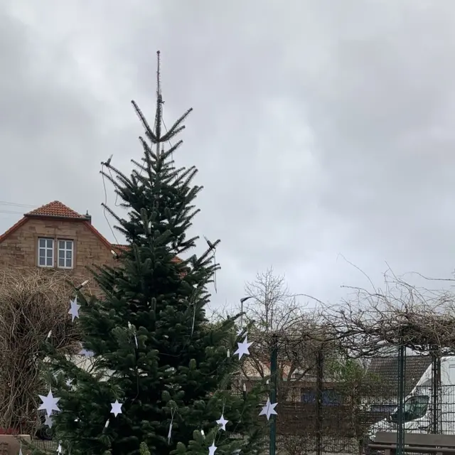 Hütschenhausen sucht Bäume für die Weihnachtszeit | Foto: red