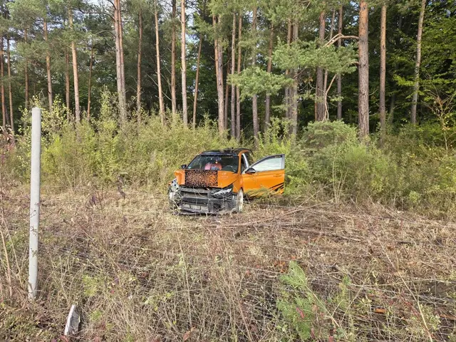 Der Hyundai-Fahrer verlor nach dem Zusammenstoß die Kontrolle über sein Fahrzeug. Sein Wagen kam von der Fahrbahn ab und durchbrach einen Wildschutzzaun auf der rechten Seite der Autobahn. | Foto: Polizeiautobahnstation Kaiserslautern