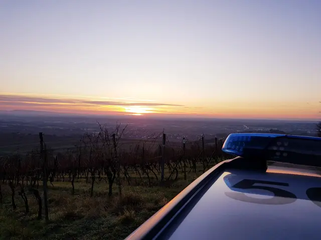 Bei einer Tempo-30-Kontrolle in der Otto-Fliesen-Straße in Grünstadt registrierte die Polizei 20 Geschwindigkeitsverstöße. Der Spitzenwert lag bei 48 km/h. | Foto: Polizeidirektion Neustadt/Weinstraße