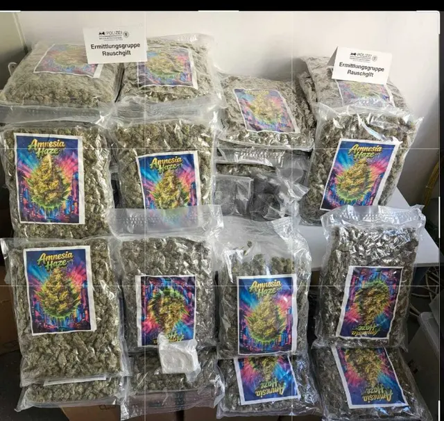 Bei einer Wohnungsdurchsuchung in Mannheim stellte die Polizei mehr als 43 Kilogramm Marihuana sowie Haschisch und Kokain sicher. Ein 44-Jähriger sitzt wegen des Verdachts des Drogenhandels in Untersuchungshaft. | Foto: Polizeipräsidium Mannheim
