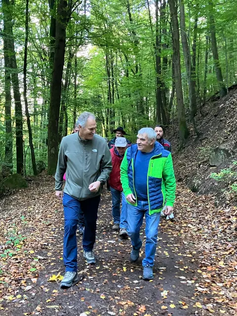 Eine Wandergruppe ist auf einem Weg im Pfälzerwald unterwegs. | Foto: KV SÜW