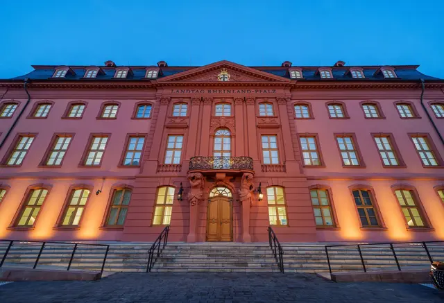 Im Landtag stehen unter anderem mehrere Wahlen an. (Archivfoto) | Foto: Andreas Arnold/dpa