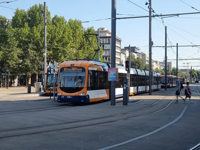 Mannheim belegt im Nahverkehrs-Ranking von Testberichte.de den letzten Platz. | Foto: BAS