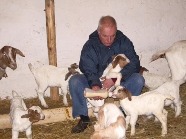 Ziegenhof Schettgen | Foto: Urlaubsregion Freinsheim
