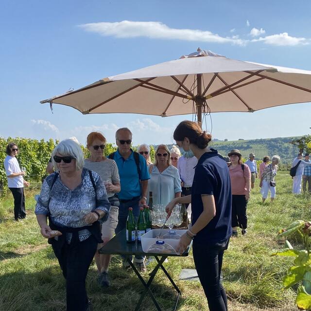 Weinbergwanderung-Bio-Wein-und-Sektgut-Wilhelmshof-Siebeldingen-Weinstrasse-Pfalz | Foto: Wein und Sektgut Wilhelmshof