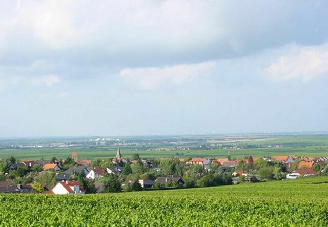Weisenheim/Bg. | Foto: Urlaubsregion Freinsheim