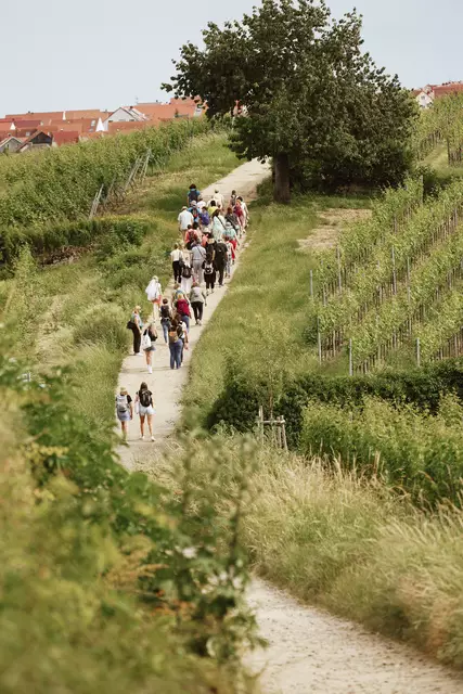 Lass Dich von 6 schmackhaften Weinen aus Dürkheimer Produktion, selbstgemachten, frischen Olivenbrot und weiteren Leckereien verführen. | Foto: Melanie Hubach