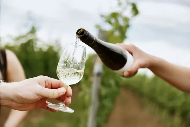 Foto: Melanie Hubach