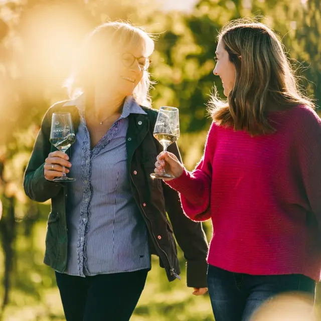 Weinwanderung währen der Weinlese | Foto: Winzergenossenschaft Herxheim/Bg.
