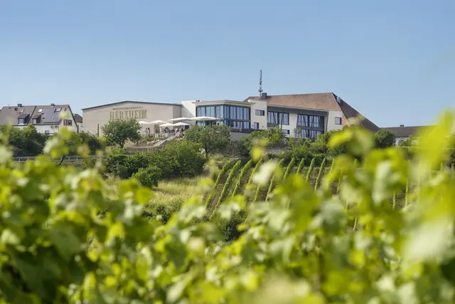 Winzergenossenschaft Herxheim/Bg. | Foto: Urlaubsregion_Freinsheim