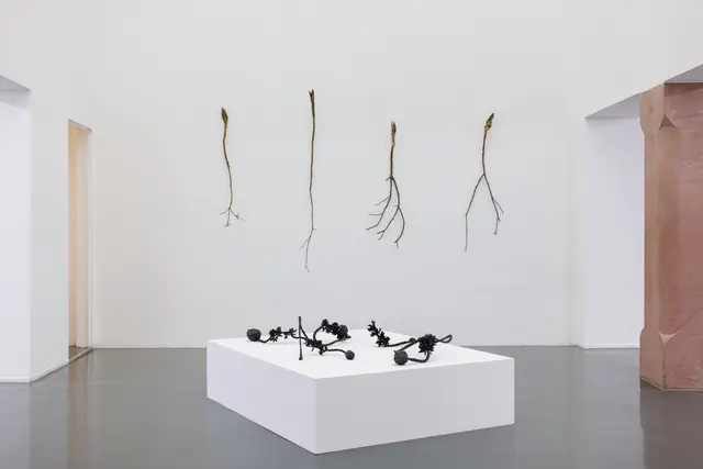 Ausstellungsansicht, Plants_Intelligence, Badischer Kunstverein, Karlsruhe 2025. | Foto: Felix Grünschloß