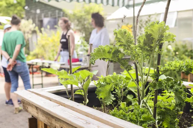 Im Ökologischen Lehr-Lerngarten der PHKA. | Foto: PHKA/Fabry