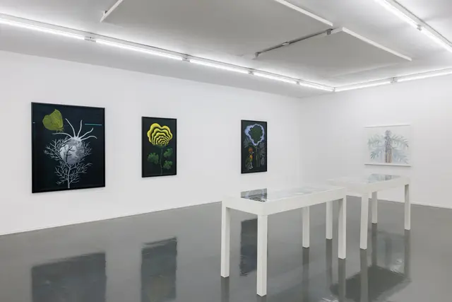 Ausstellungsansicht, Plants_Intelligence, Badischer Kunstverein, Karlsruhe 2025. | Foto: Felix Grünschloß