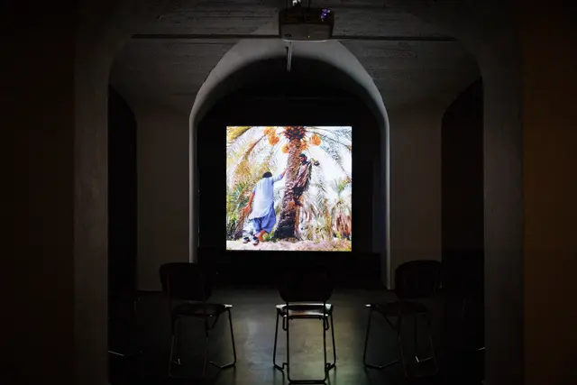 Ausstellungsansicht, Plants_Intelligence, Badischer Kunstverein, Karlsruhe 2025. | Foto: Felix Grünschloß