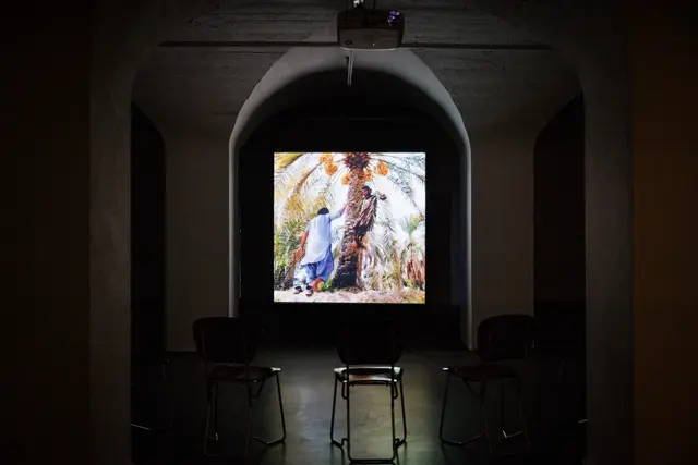 Ausstellungsansicht, Plants_Intelligence, Badischer Kunstverein, Karlsruhe 2025. | Foto: Felix Grünschloß