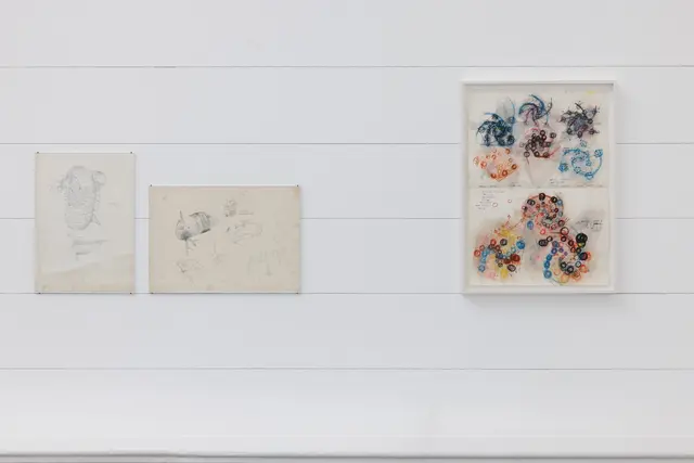 Ausstellungsansicht, Stefan Bertalan: Ich habe 130 Tage mit einer Sonnenblume gelebt, Badischer Kunstverein, Karlsruhe 2025. | Foto: Felix Grünschloß