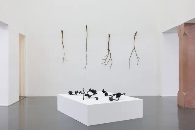 Ausstellungsansicht, Plants_Intelligence, Badischer Kunstverein, Karlsruhe 2025. | Foto: Felix Grünschloß