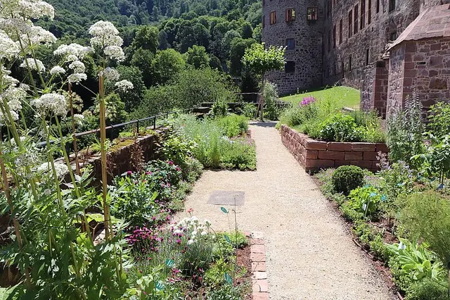 Apotheken-Garten des Deutschen Apotheken Museums am Heidelberger Schloss | Foto: Deutsche Apotheken Museum-Stiftung