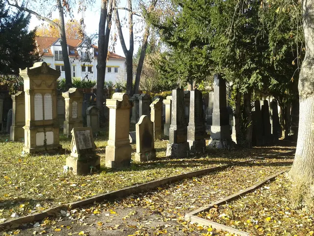 Foto: Christine Seibel, Rechte: Tourist Information