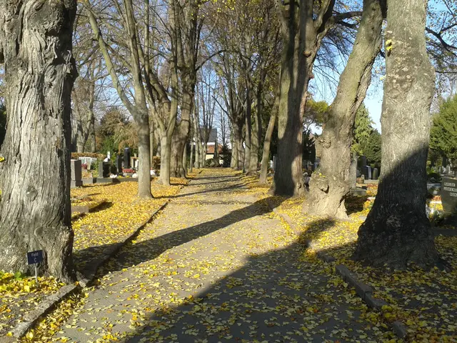 Foto: Christine Seibel, Rechte: Tourist Information