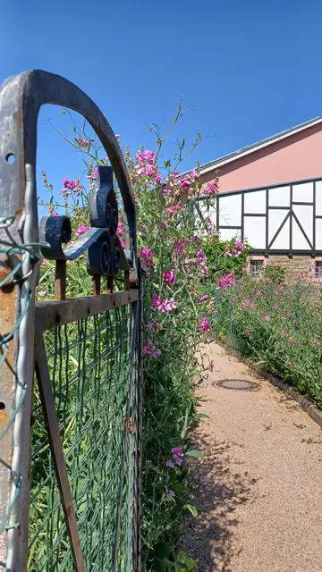 Foto: Fotorechte: Tourist Information