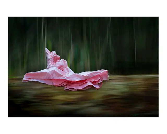Lea Ammertal / Ulli Wicke, Waldkleid, 40x50 | Foto: Ulli Wicke