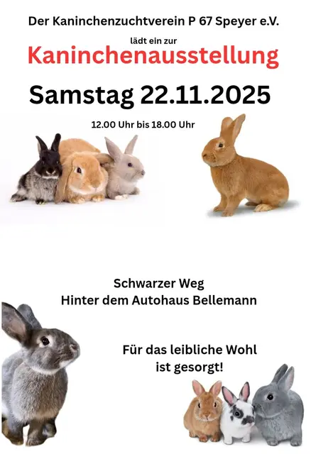 Ausstellung P67 Speyer e.V  | Foto: Bianca Archut-Schiele