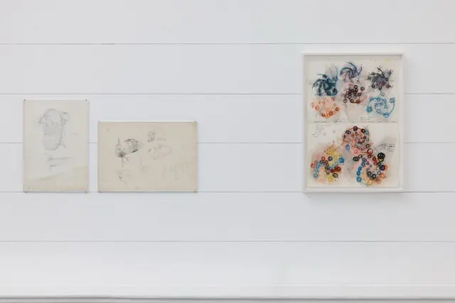 Ausstellungsansicht, Stefan Bertalan: I have lived with a sunflower for 130 days, Badischer Kunstverein, Karlsruhe 2025 | Foto: Felix Grünschloß