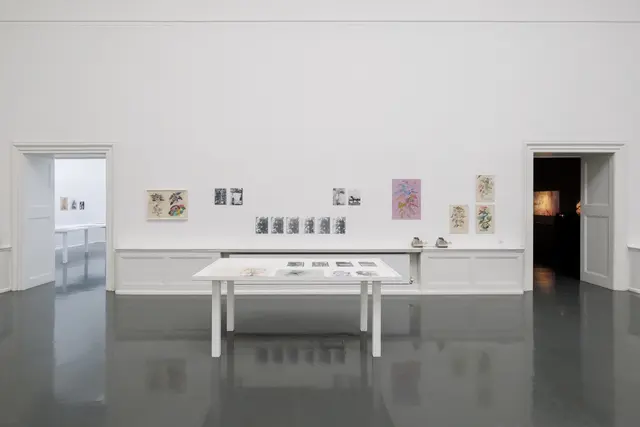 Ausstellungsansicht, Stefan Bertalan: I have lived with a sunflower for 130 days, Badischer Kunstverein, Karlsruhe 2025 | Foto: Felix Grünschloß