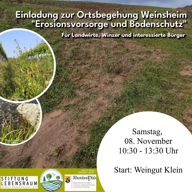 Foto: Stiftung Lebensraum