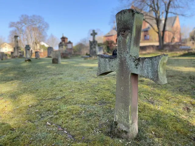 Foto: Stefan Bergmann