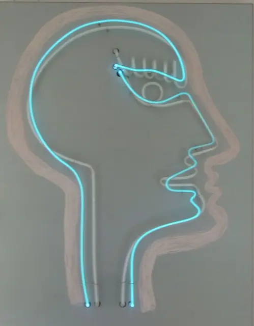 Michaela van den Driesch, SelfMa(i)de, 2015, 100 x 80 x 20 cm, Neon auf Metallkasten | Foto: Michaela van den Driesch