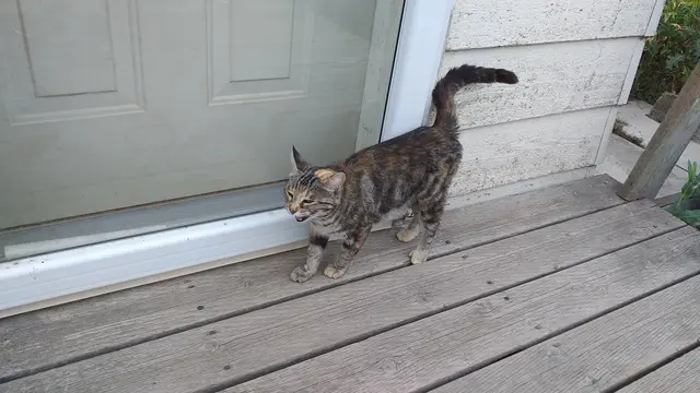 KATER-Frühstück zum 250. Geburtstag von E.T.A. Hoffmann | Foto: Dr. Anja Pohsner privat