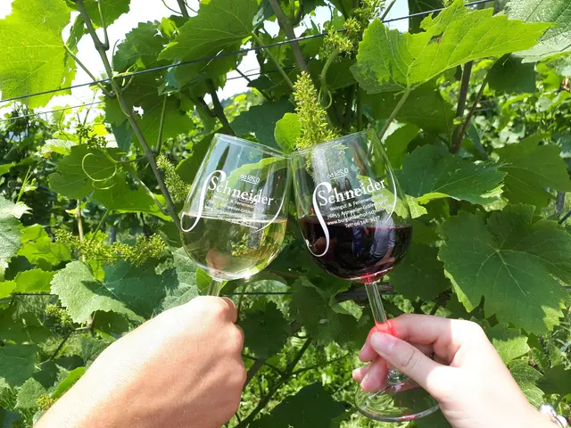 Foto: Verein SÜW Annweiler e.V.