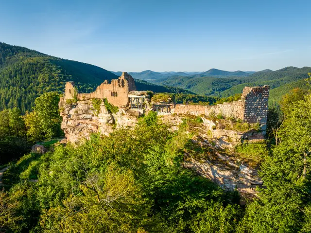 Foto: Verein SÜW Annweiler e.V., Fotograf: Dominik Ketz
