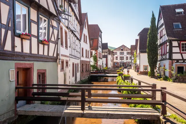 Foto: Verein SÜW Annweiler e.V., Fotograf: Dominik Ketz