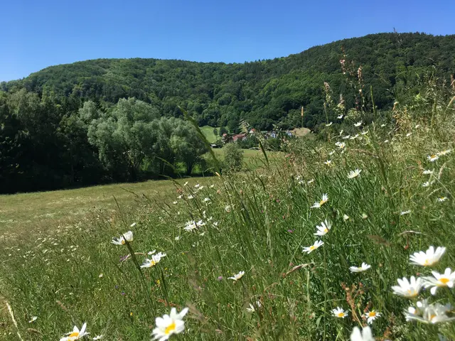 Foto: Verein SÜW Annweiler e.V.