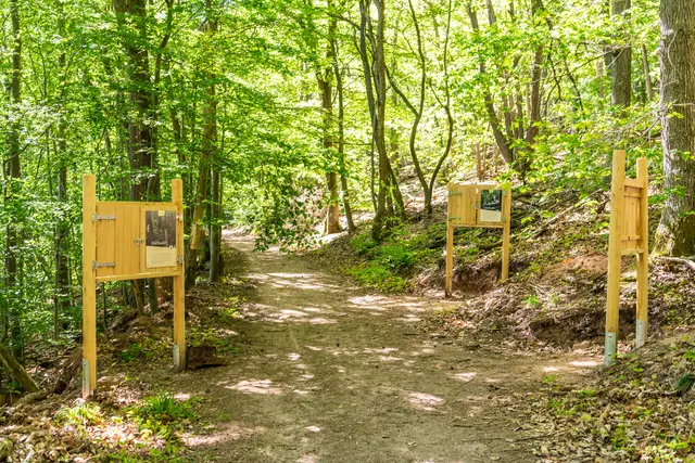 Foto: Verein SÜW Annweiler e.V., Fotograf: Dominik Ketz